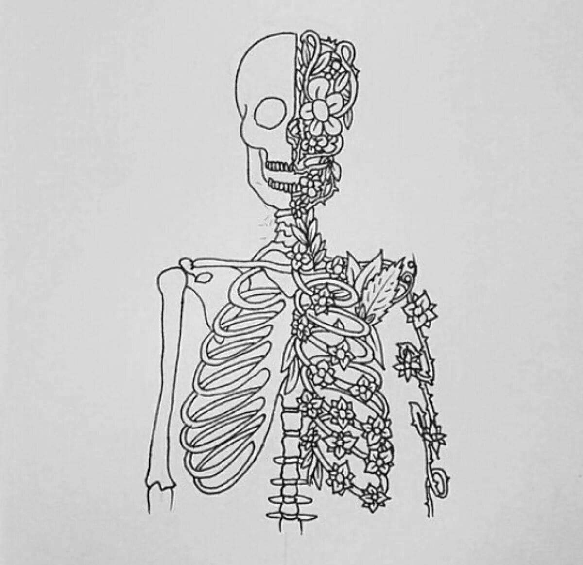 Colorful lung coloring page