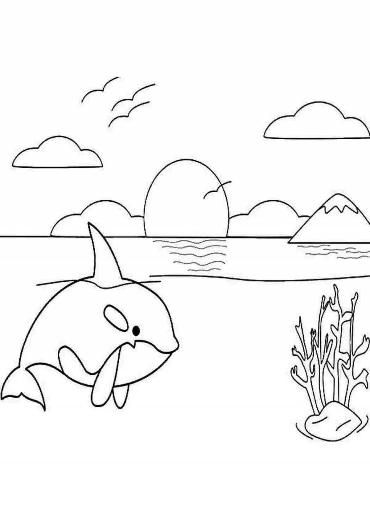 Раскраска блаженный закат на море