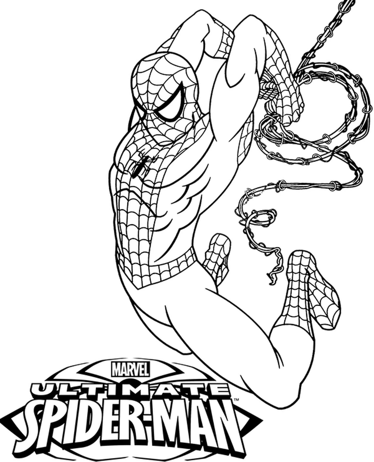 Spiderman team #1