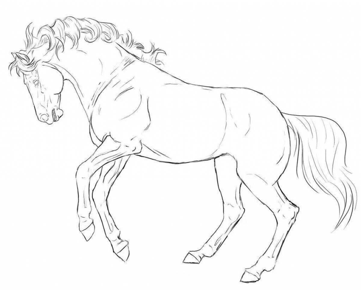 Раскраска «великолепная вздыбленная лошадь»
