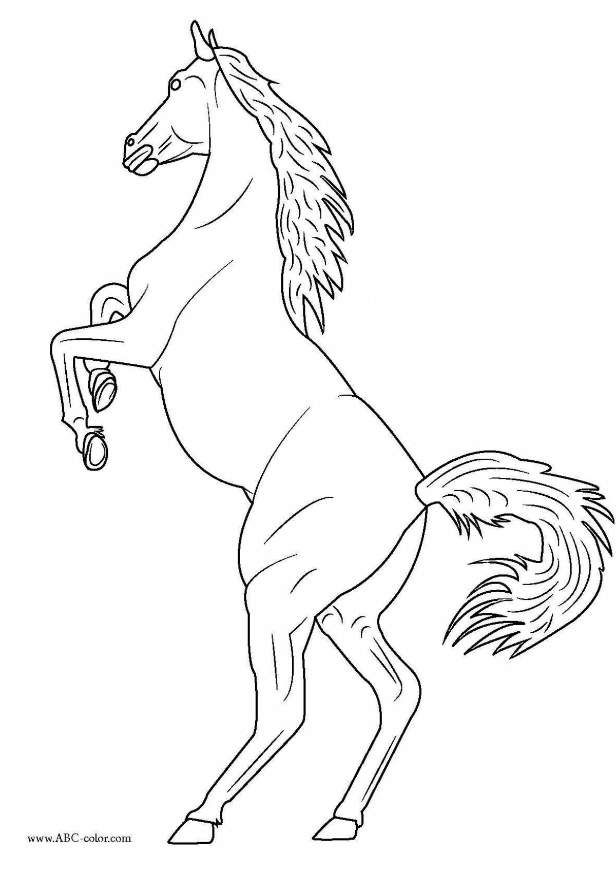 Awesome rearing horse coloring page