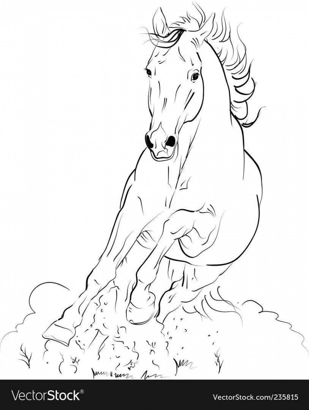 Раскраска элегантная вздыбленная лошадь