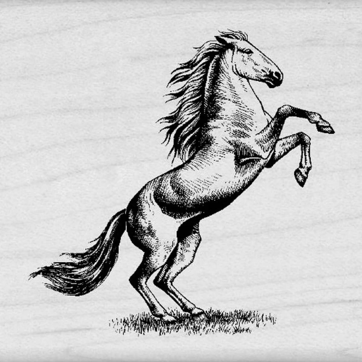 Оживленная страница раскраски вздыбленной лошади