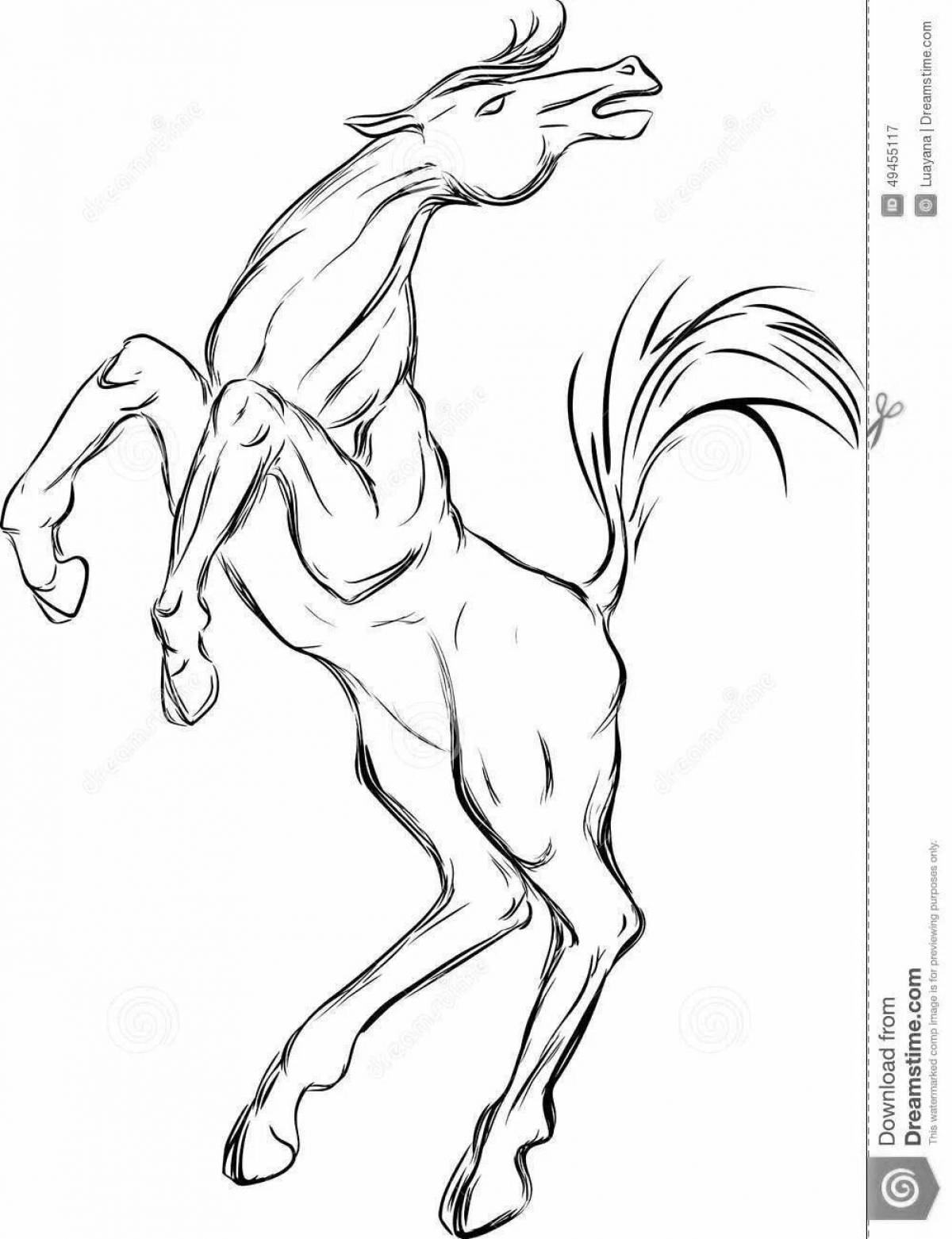 Раскраска великолепная вздыбленная лошадь