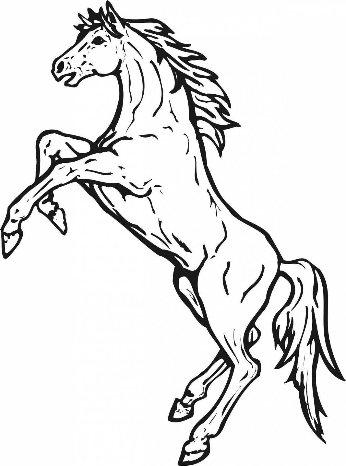 Coloring page of a luxurious rearing horse