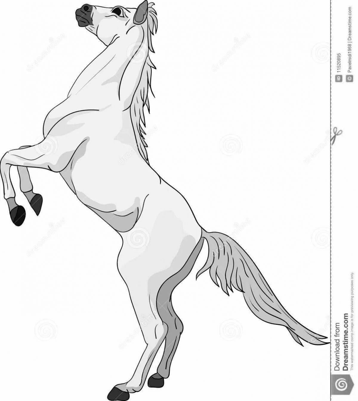 Раскраска грандиозная вздыбленная лошадь