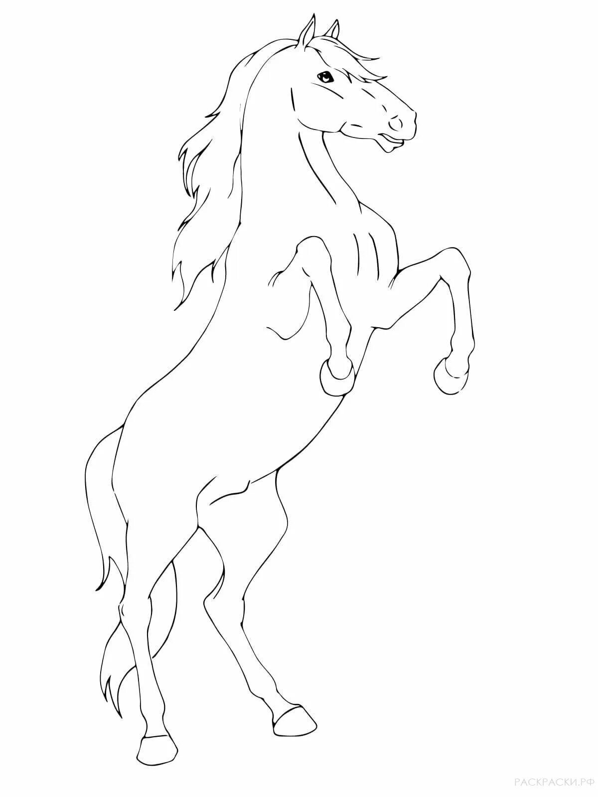 Раскраска лошадь с человеком - 51 фото