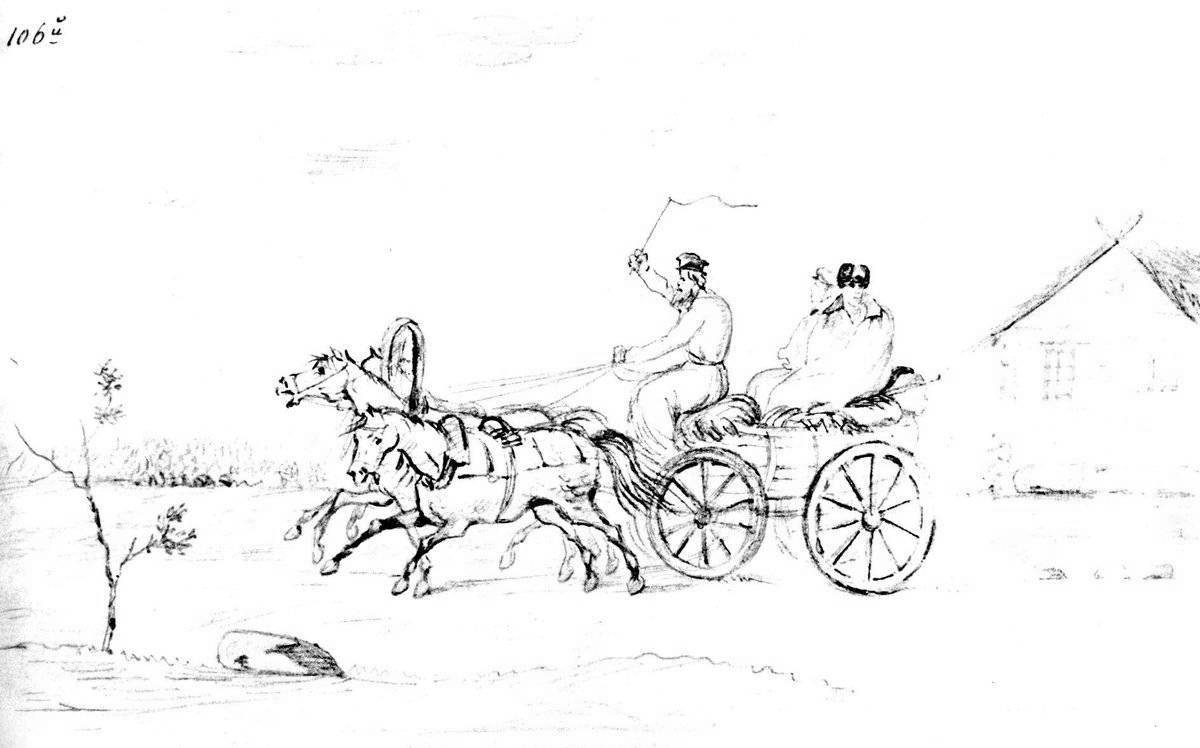 Intriguing captive Caucasian thick coloring book