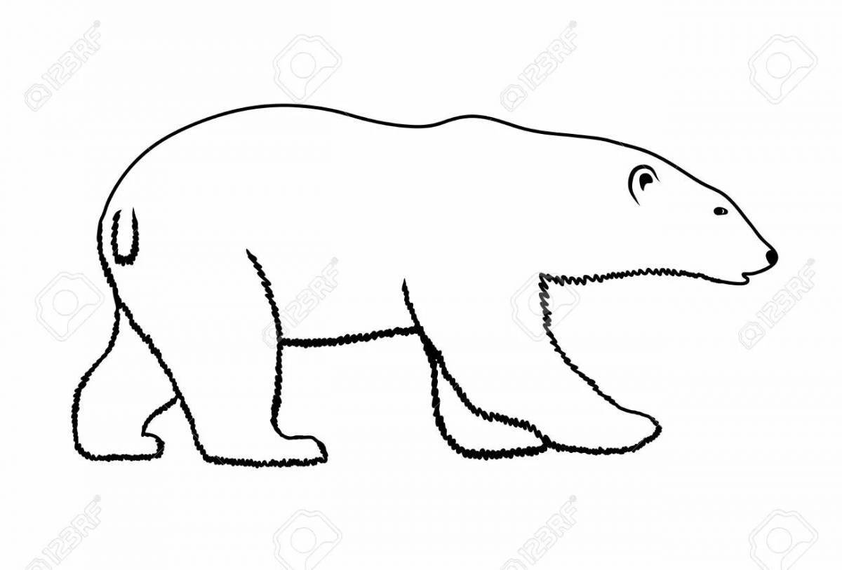 Раскраска величественный белый медведь