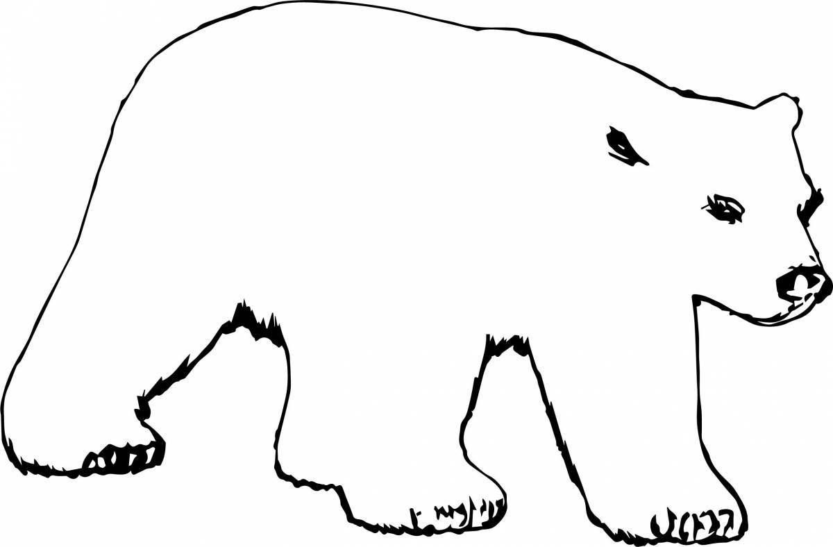 Прекрасная раскраска белого медведя