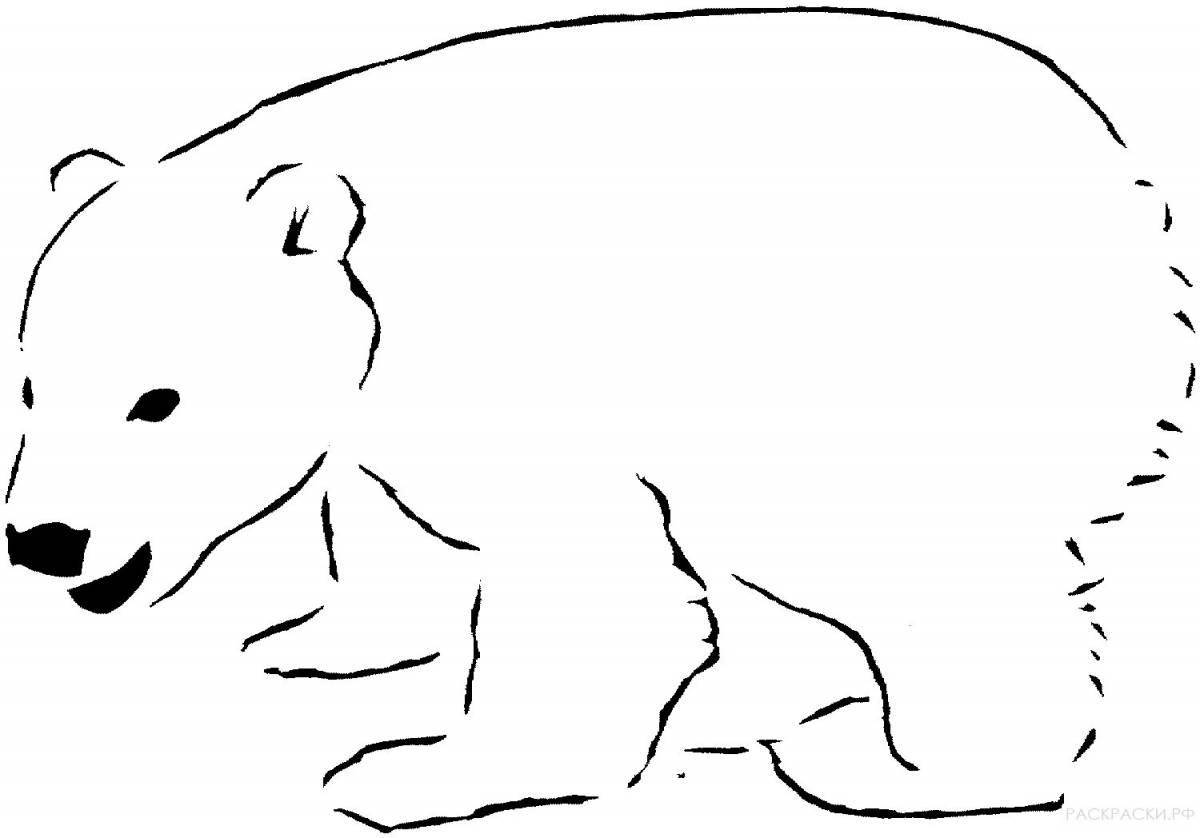 Раскраска безмятежный белый медведь