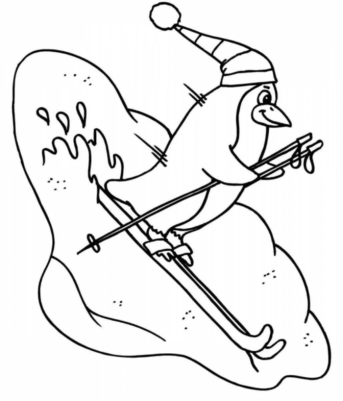 Live bear on skis coloring book