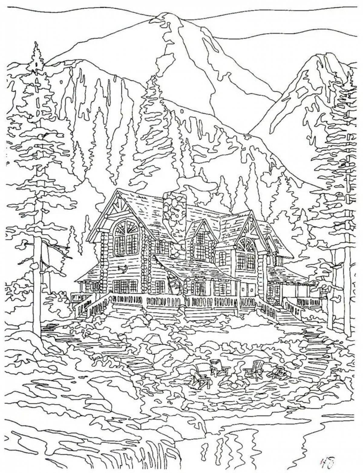 Colorful house for adults coloring book