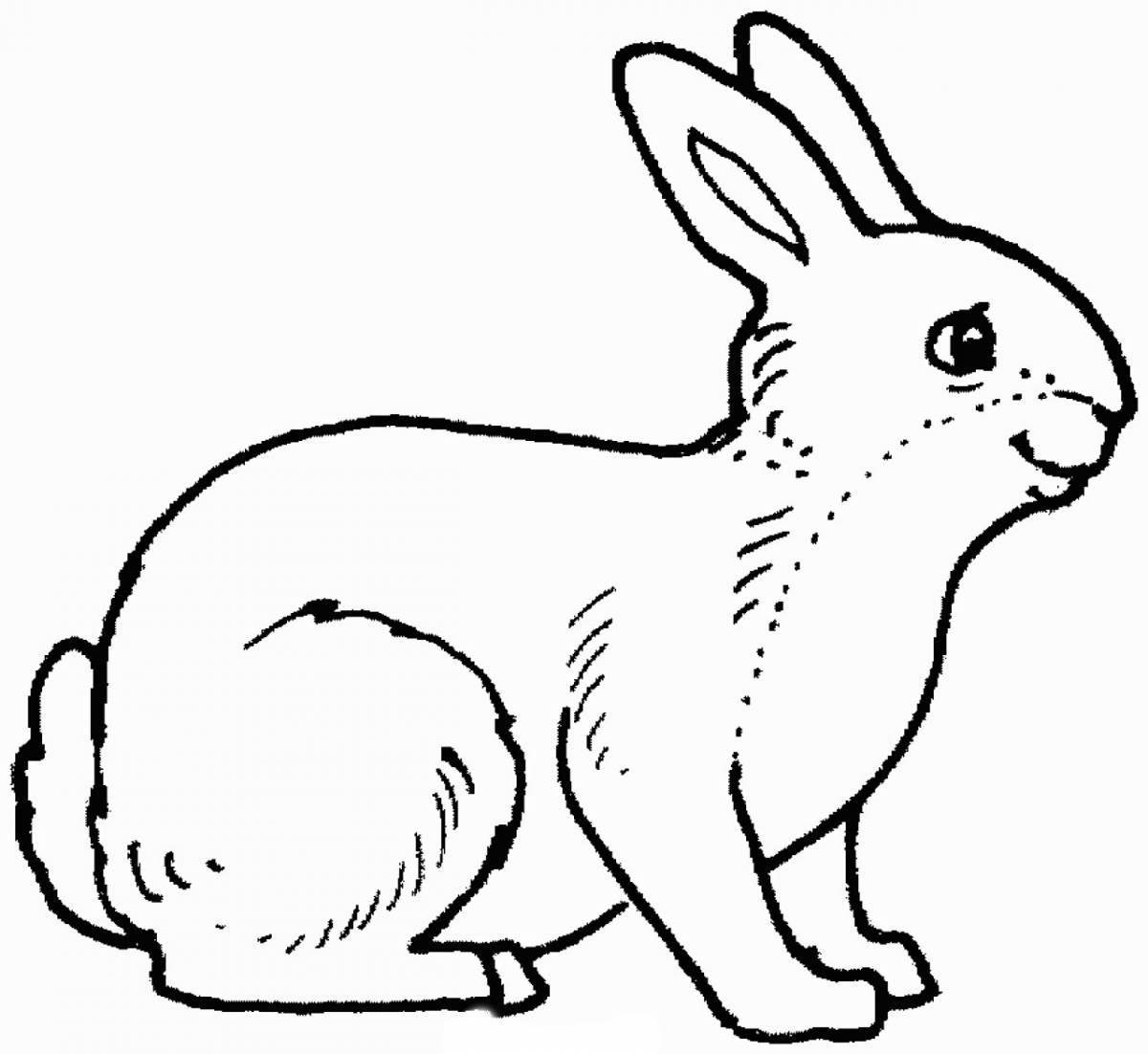 Coloring book cheerful hare and squirrel