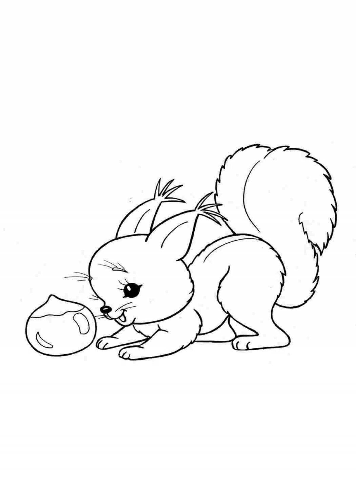 Cute rabbit and squirrel coloring book