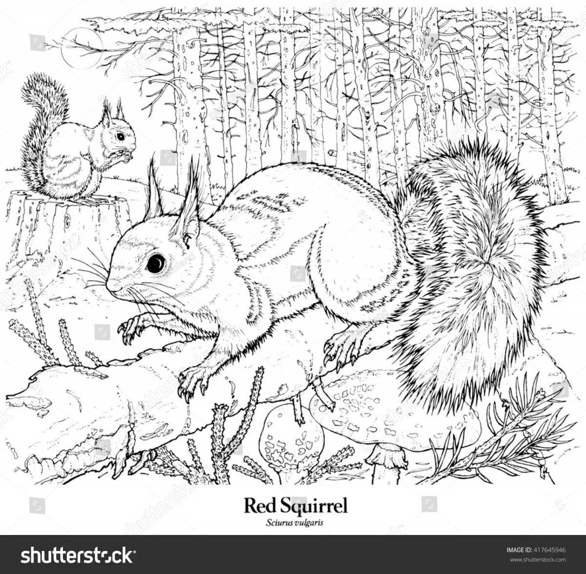 Coloring book nice hare and squirrel