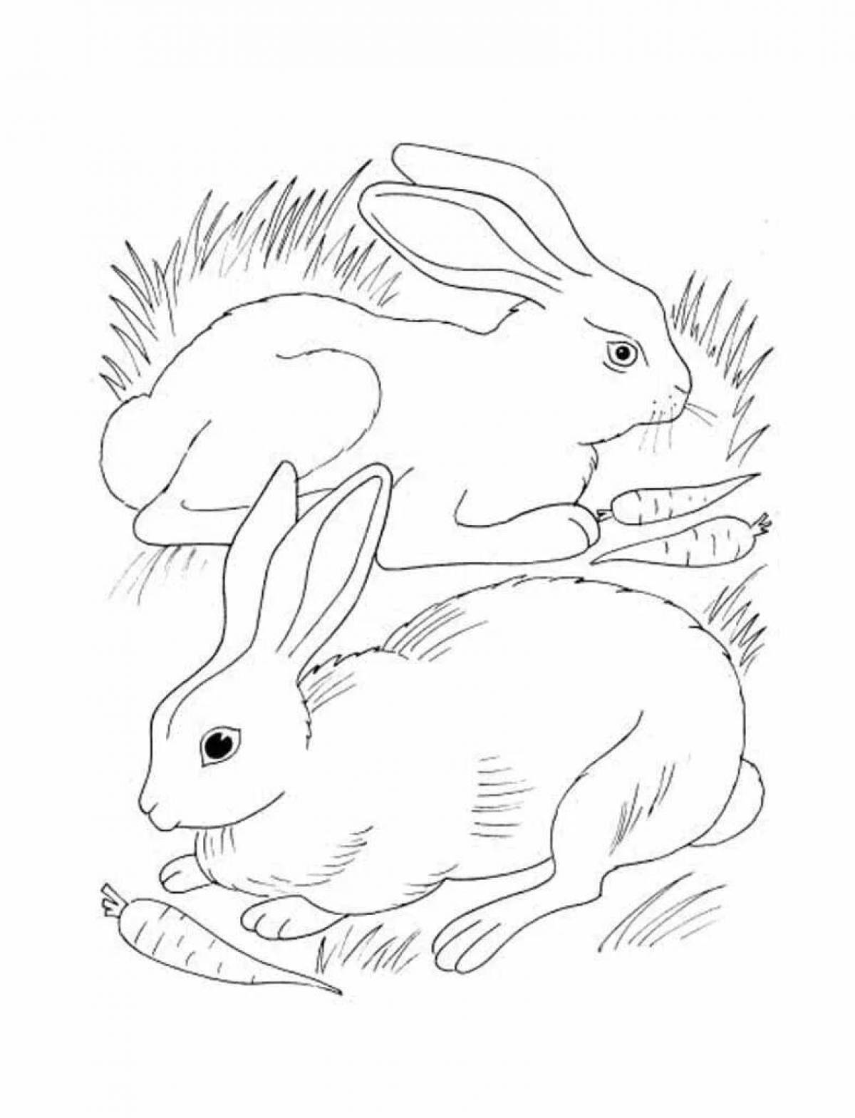 Coloring book shining hare and squirrel