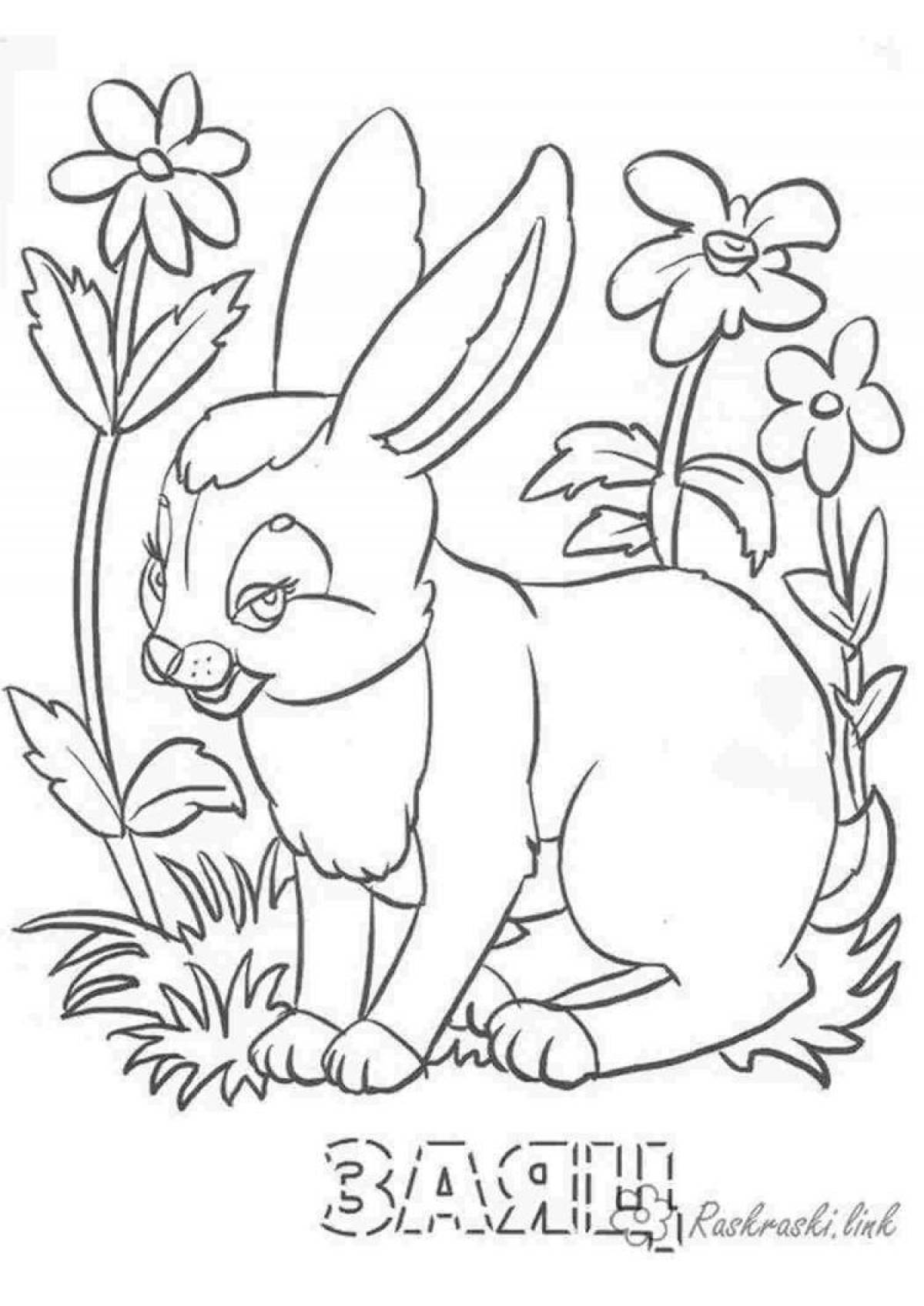 Wonderful hare and squirrel coloring book