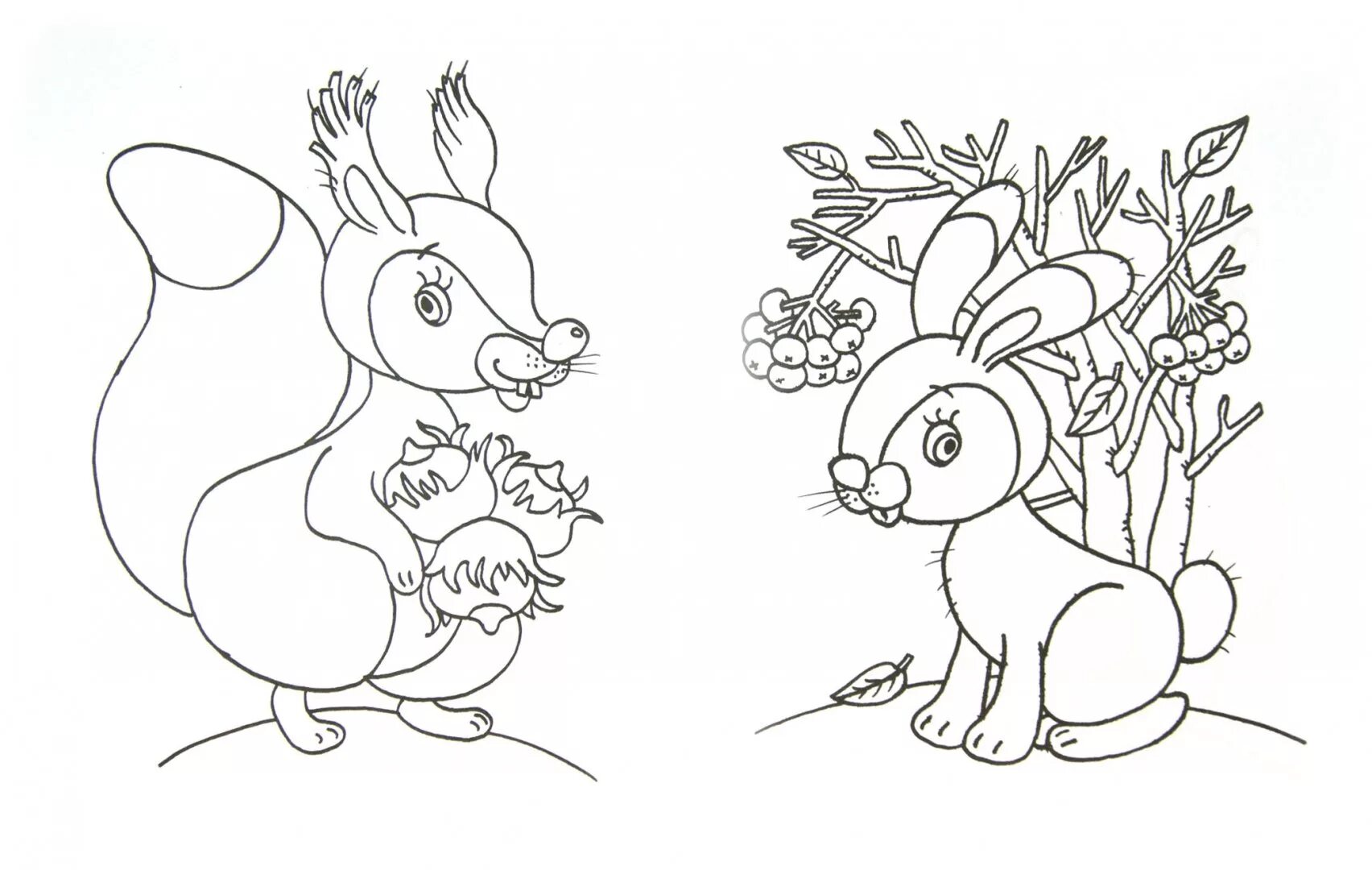 Amazing hare and squirrel coloring page