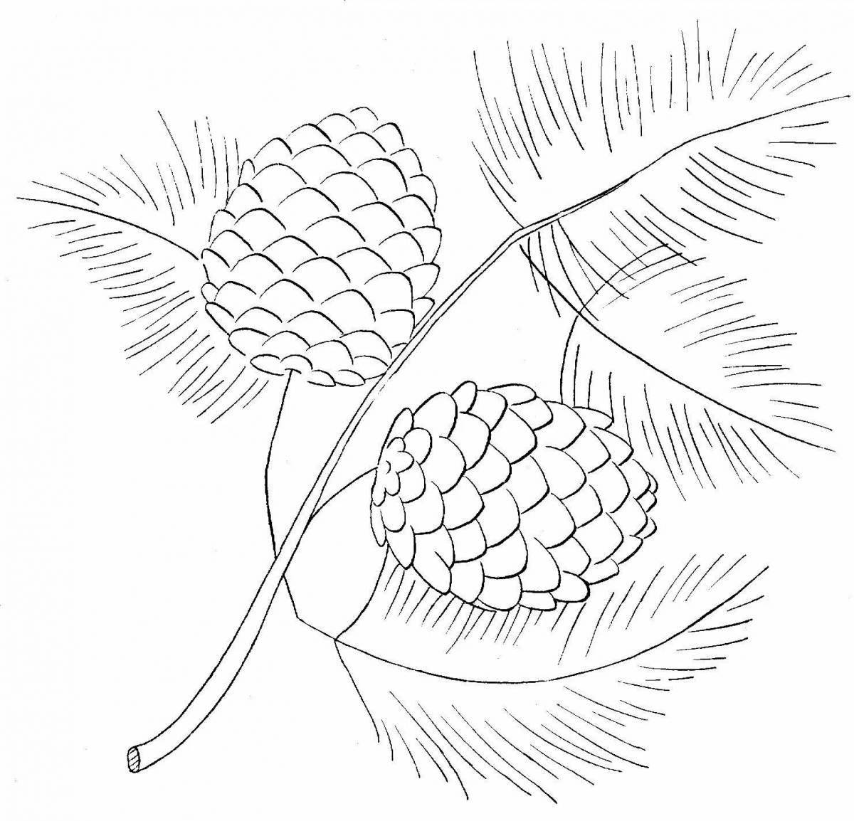 Еловая ветка и шишки : листья деревьев