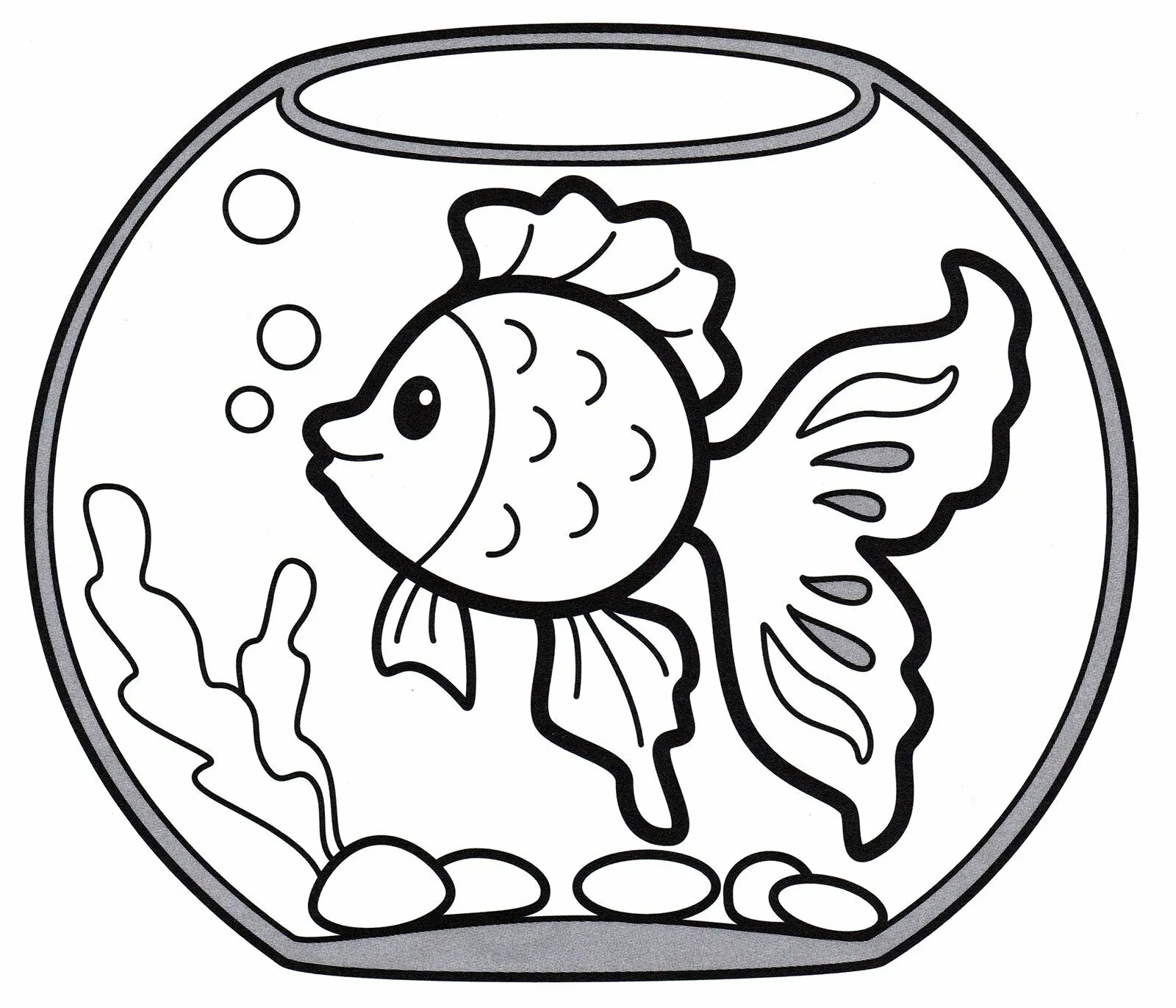 Рыбы в аквариуме #9