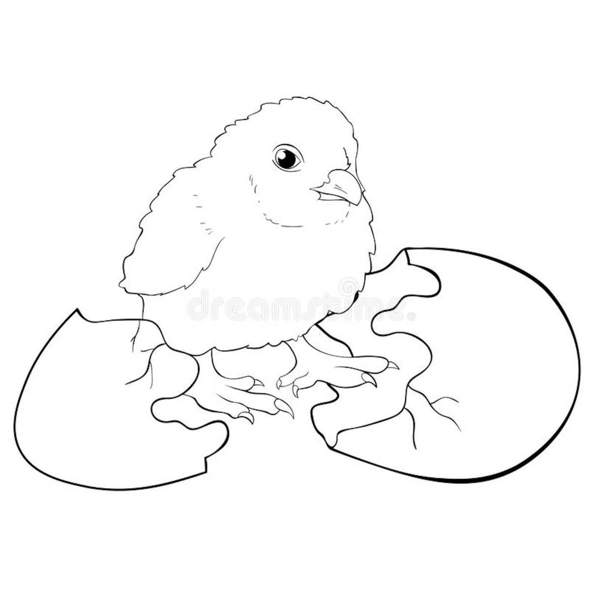 Chicken in egg coloring page