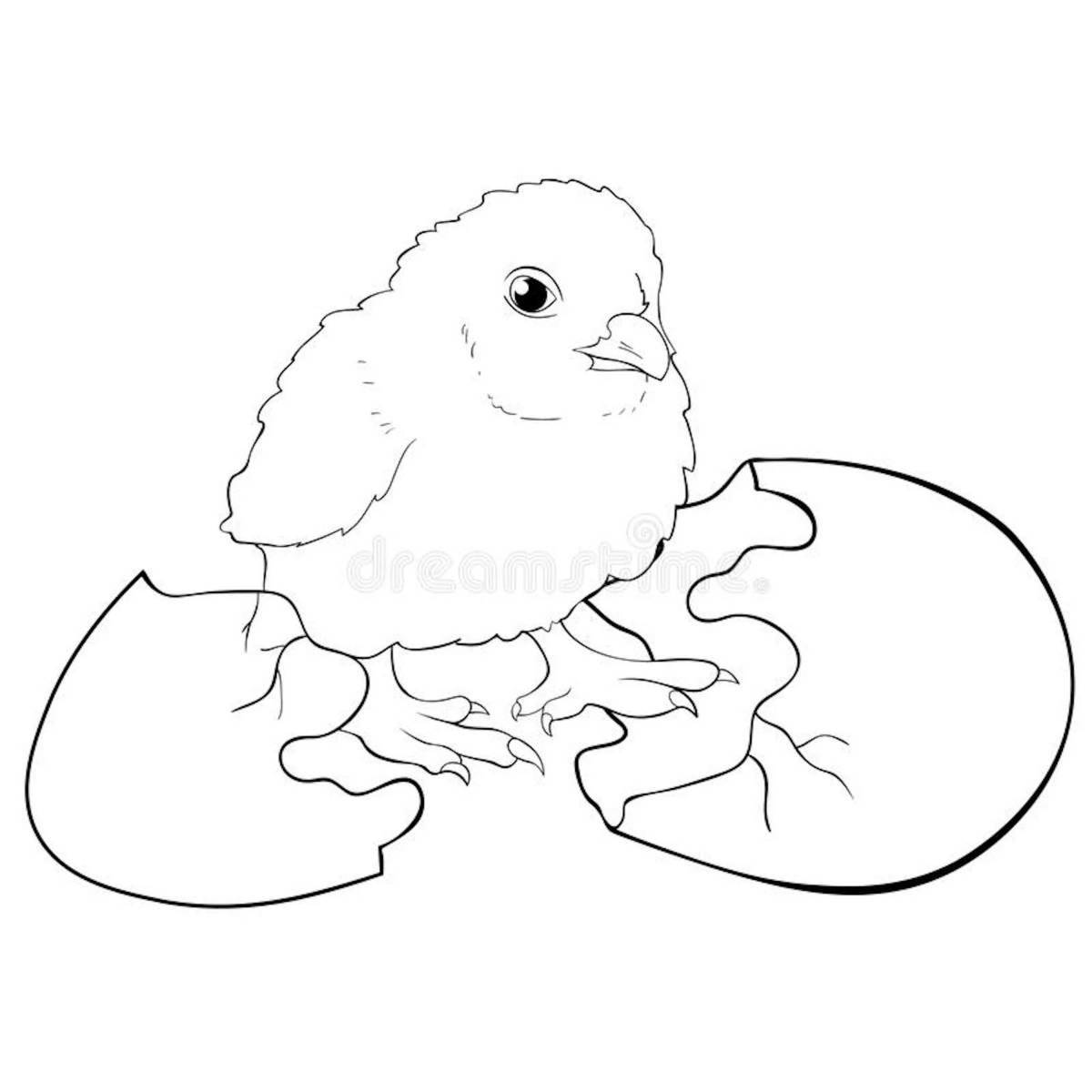 Chicken in egg coloring page