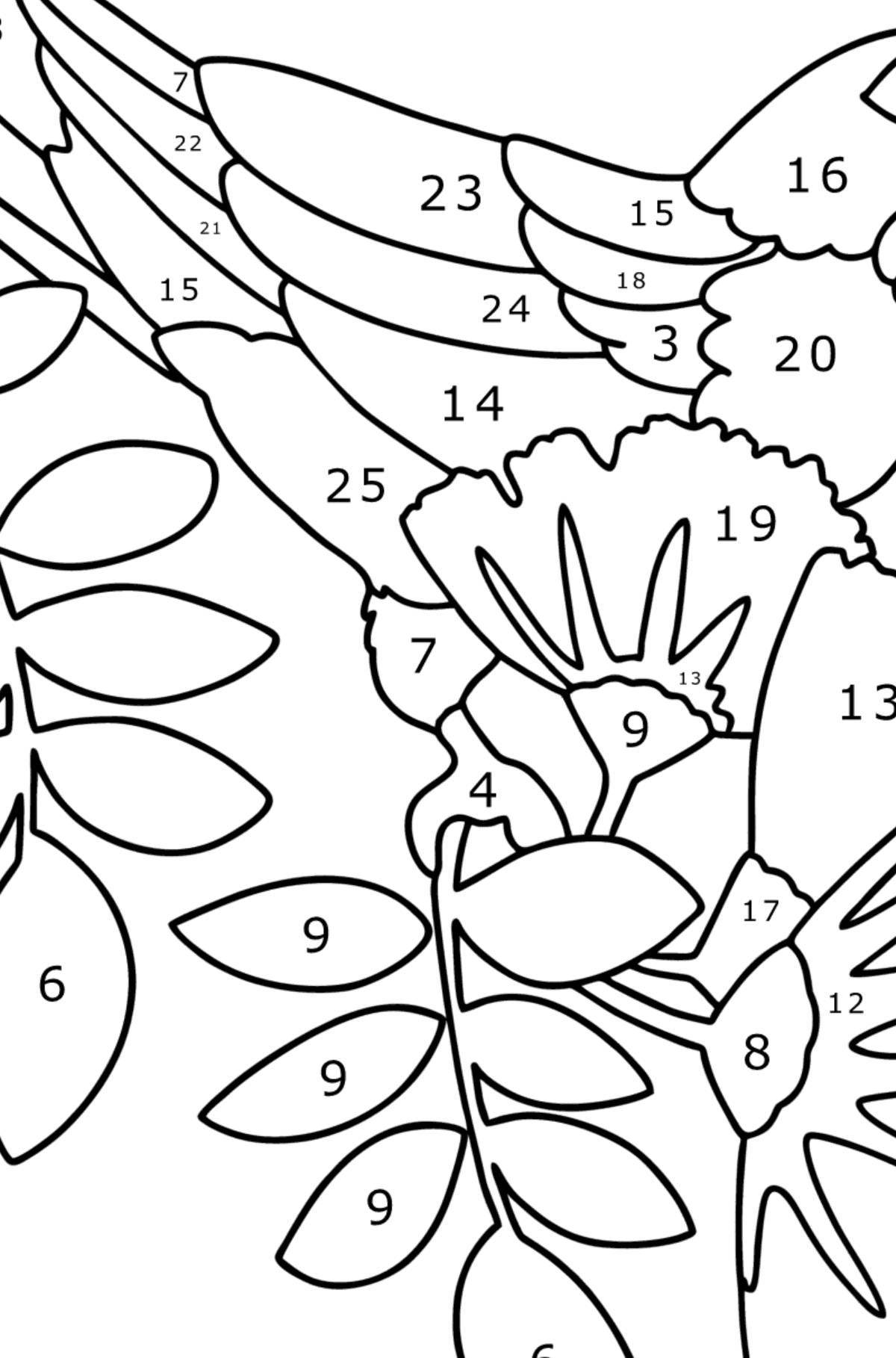 Adorable parrot by number coloring book