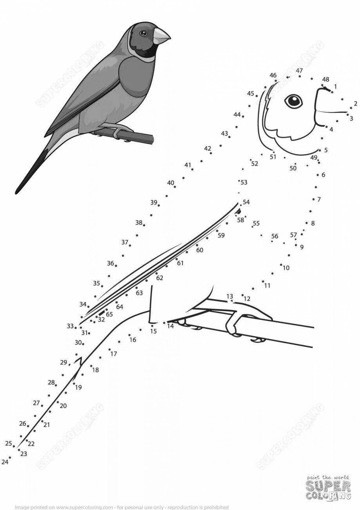 Friendly parrot coloring by numbers