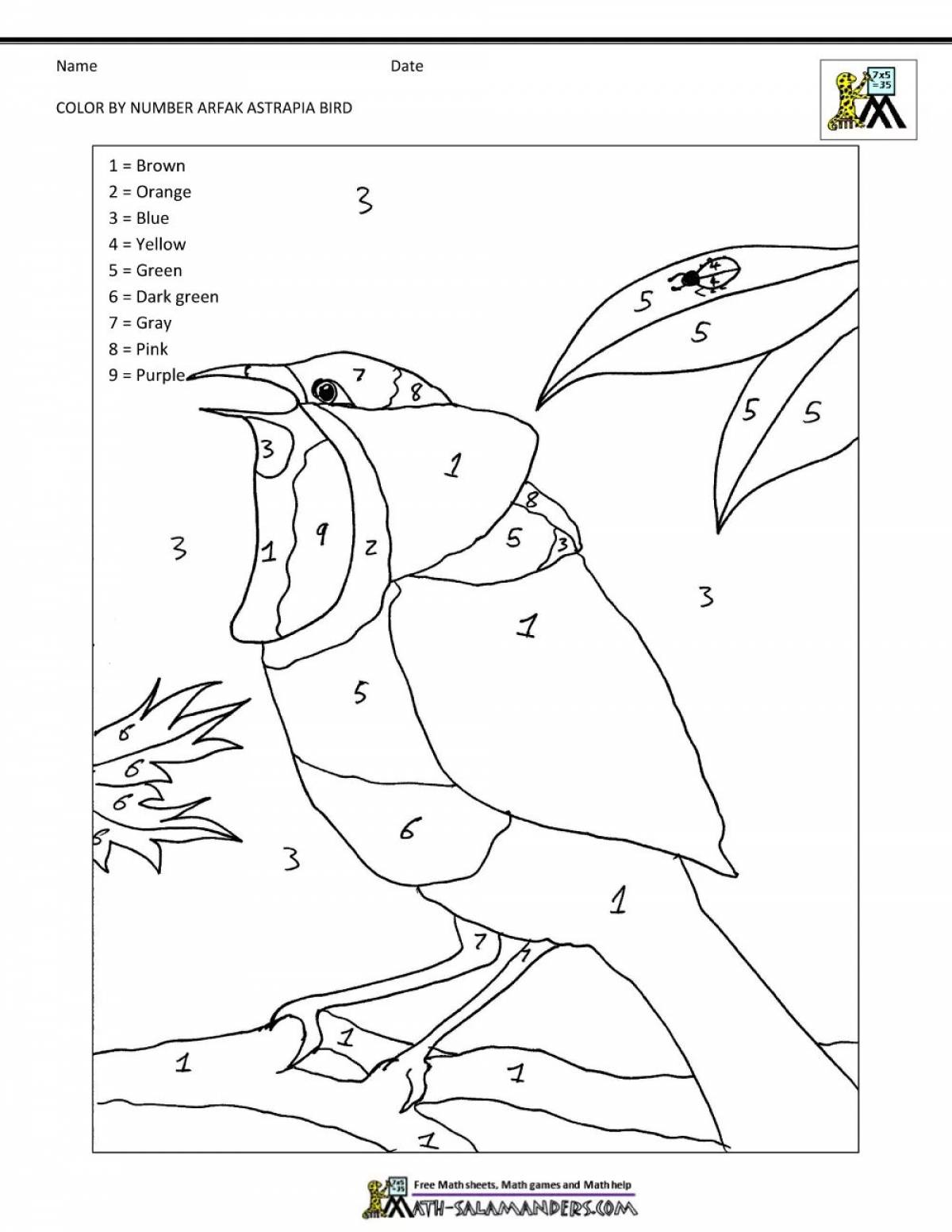 Coloring radiant parrot by numbers