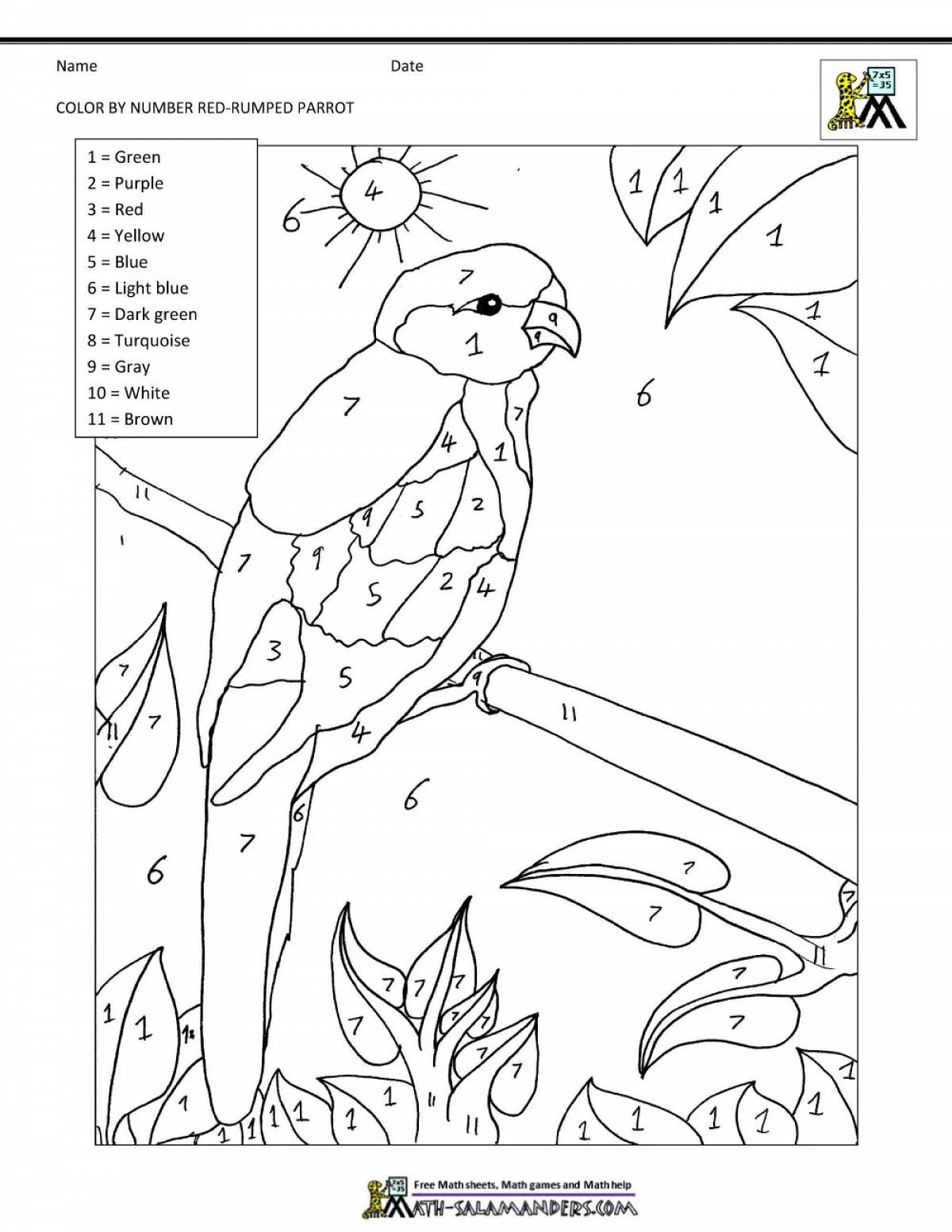 Раскраска попугай по цифрам - 76 фото