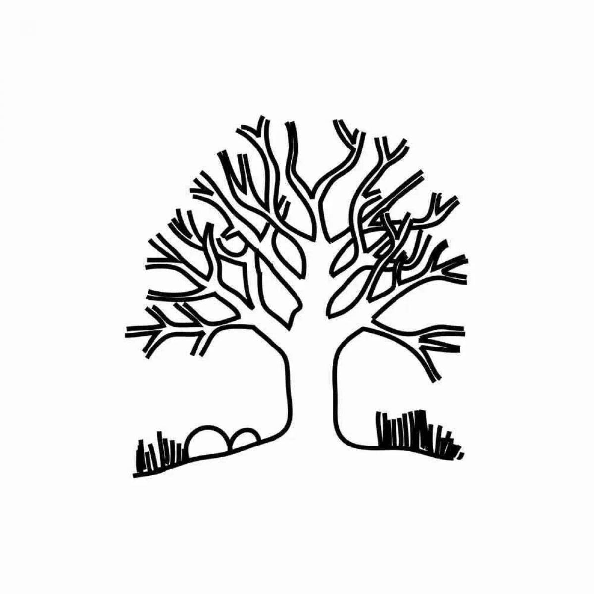 Frosty coloring trees in the snow