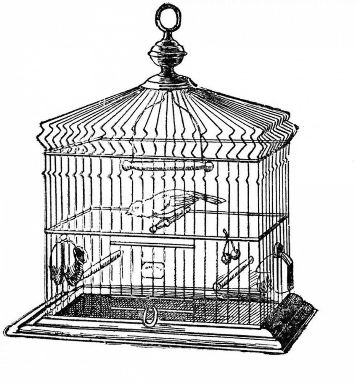 Bright parrot in a cage