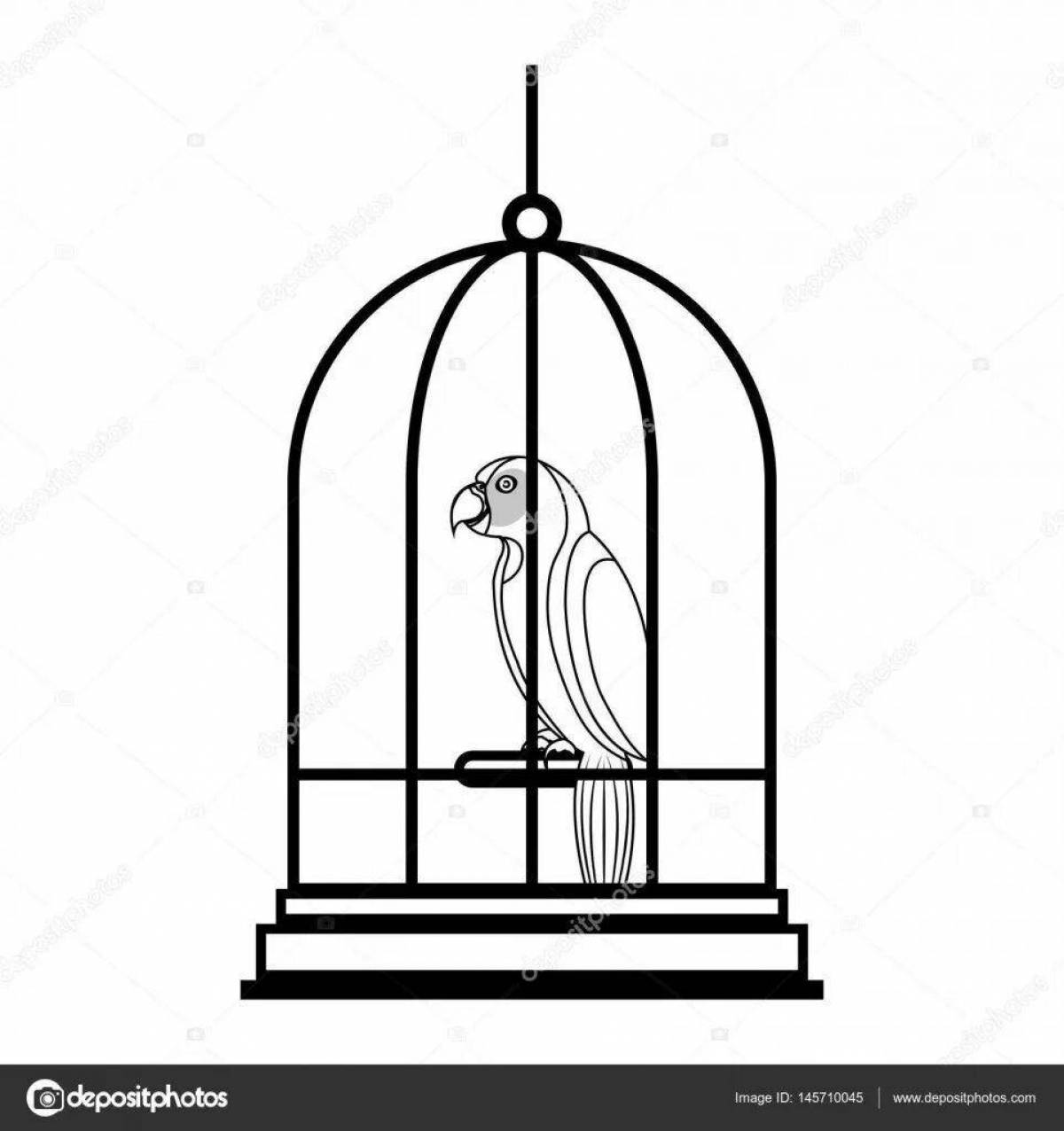 Caged parrot #3