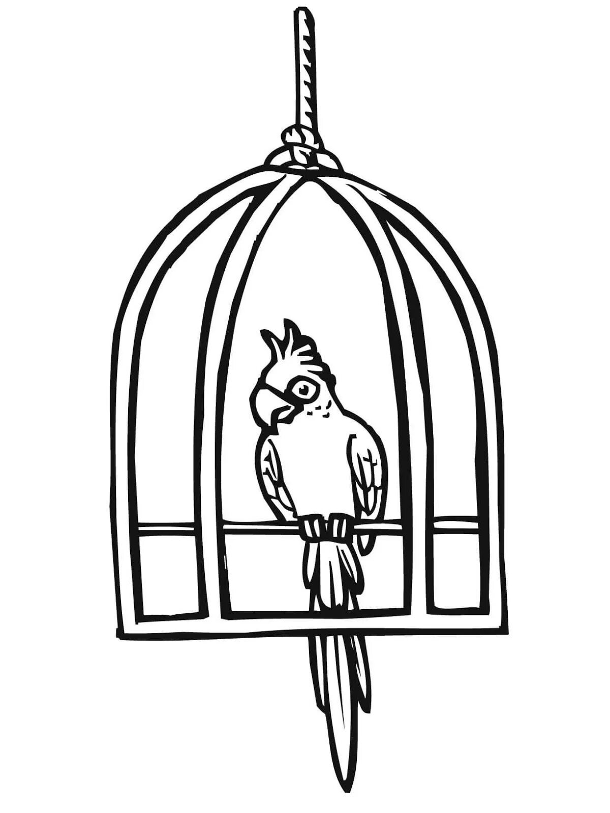 Caged parrot #10