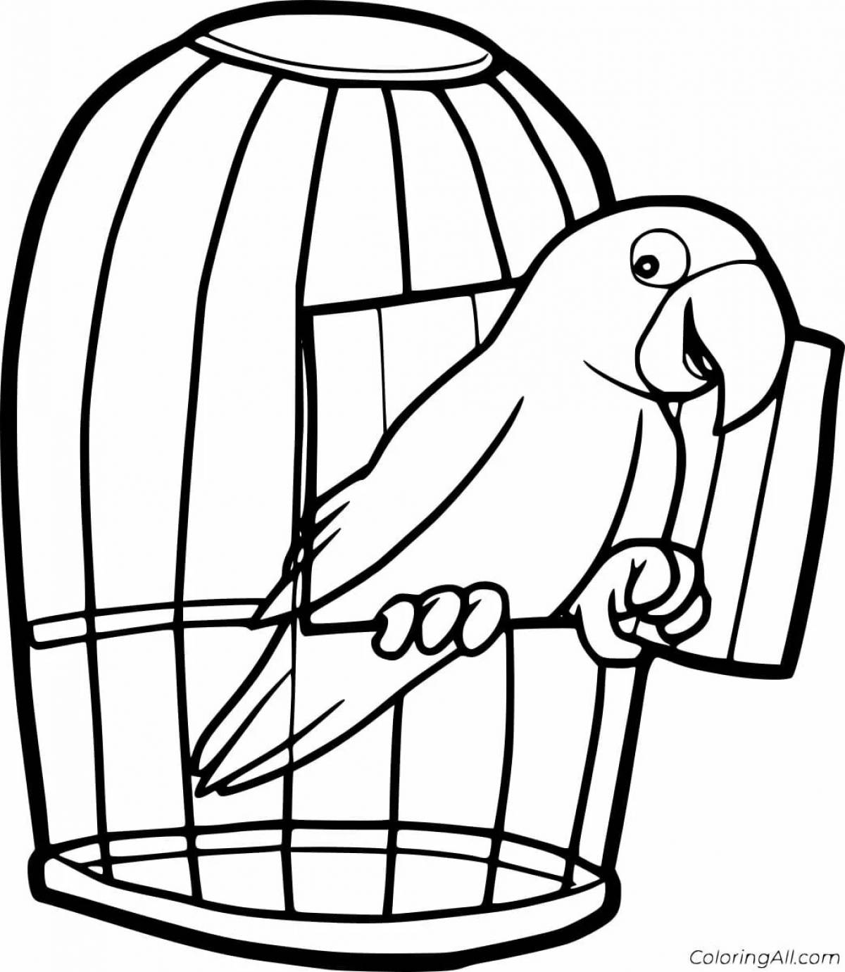Попугай в клетке #11