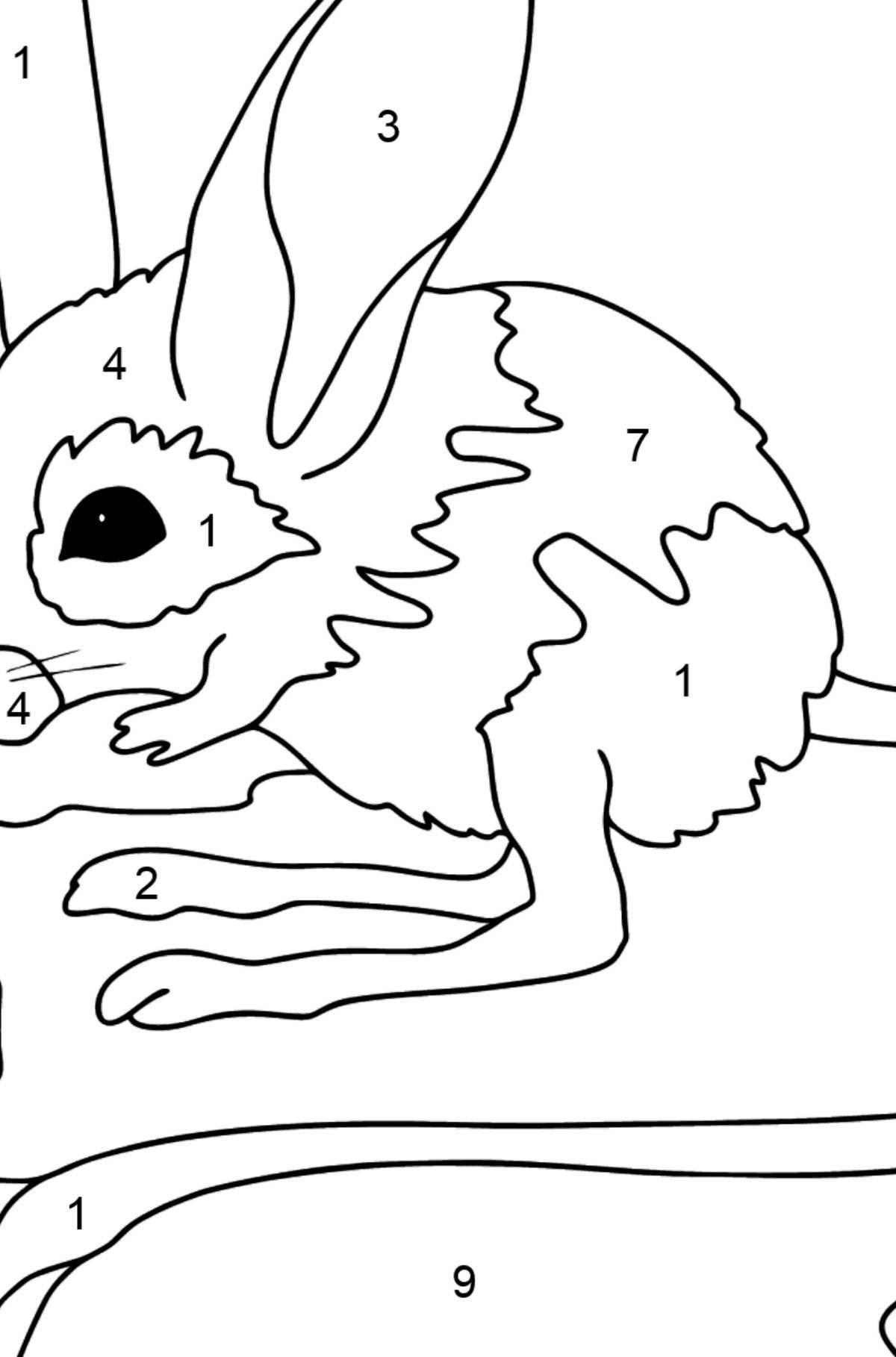 Adorable bunny coloring by numbers