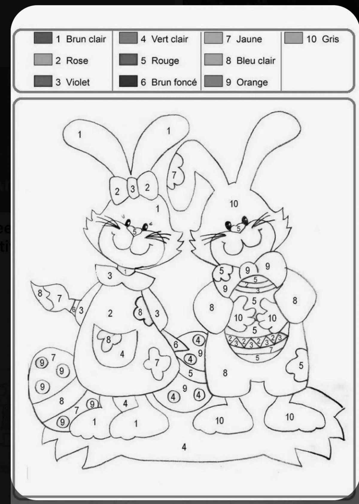 Charming bunny by numbers coloring book