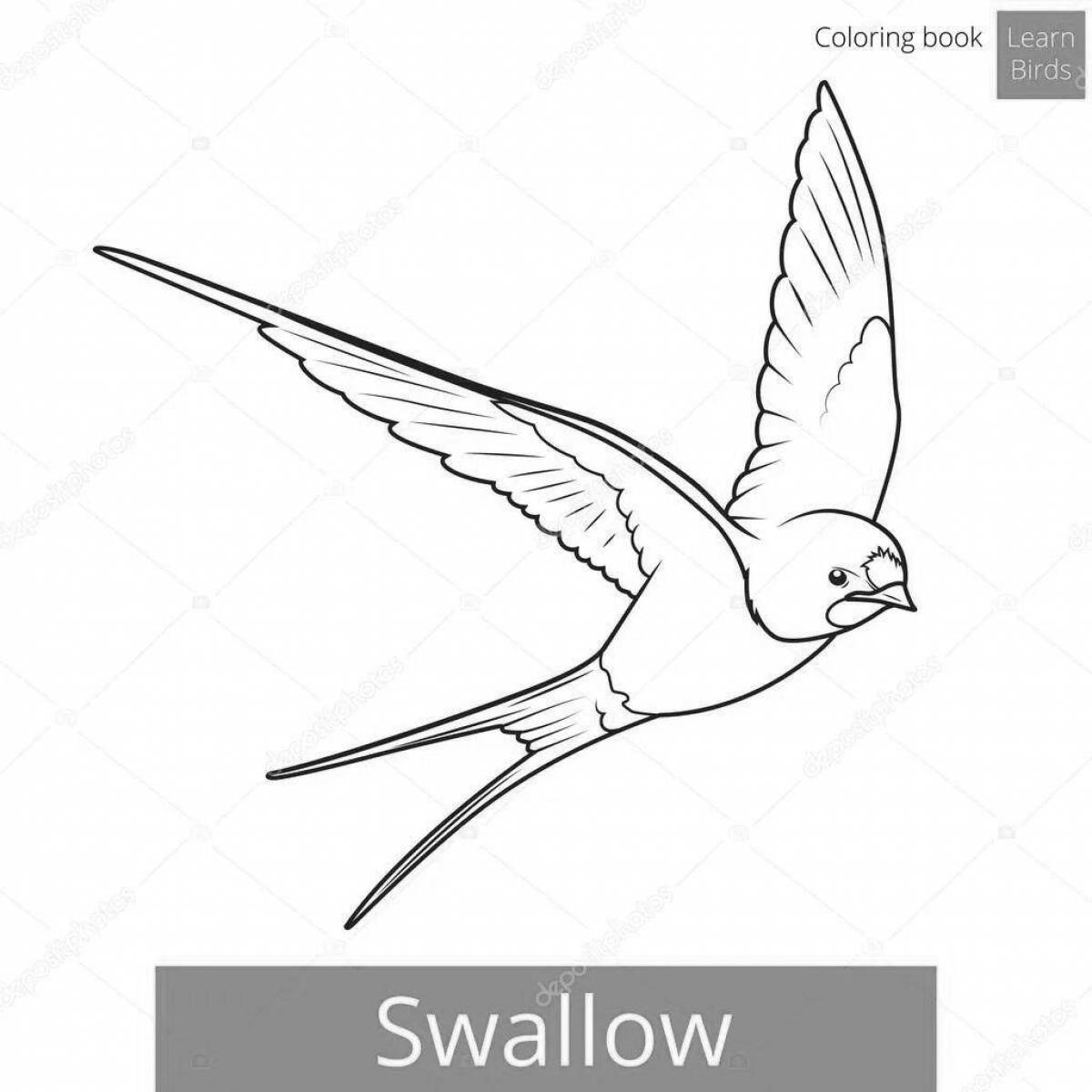 Exquisite swallow with a letter