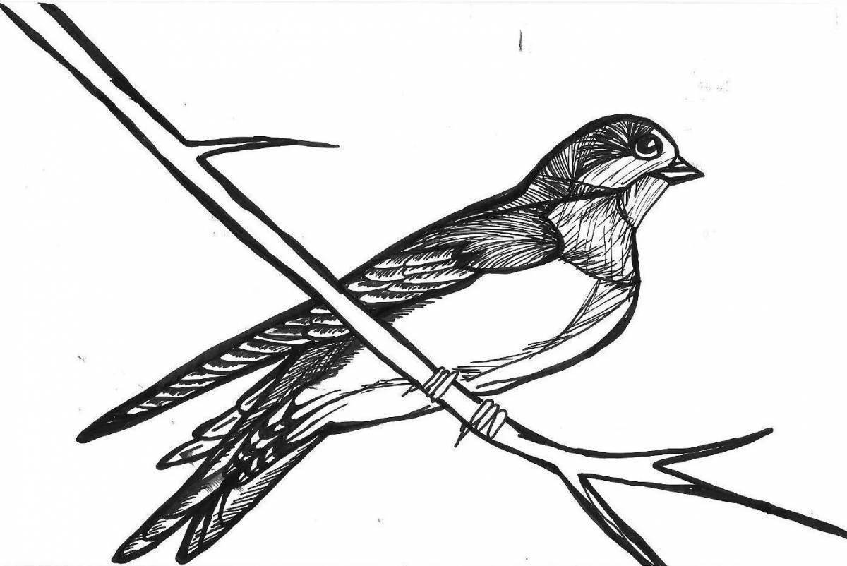Dazzling swallow with a letter