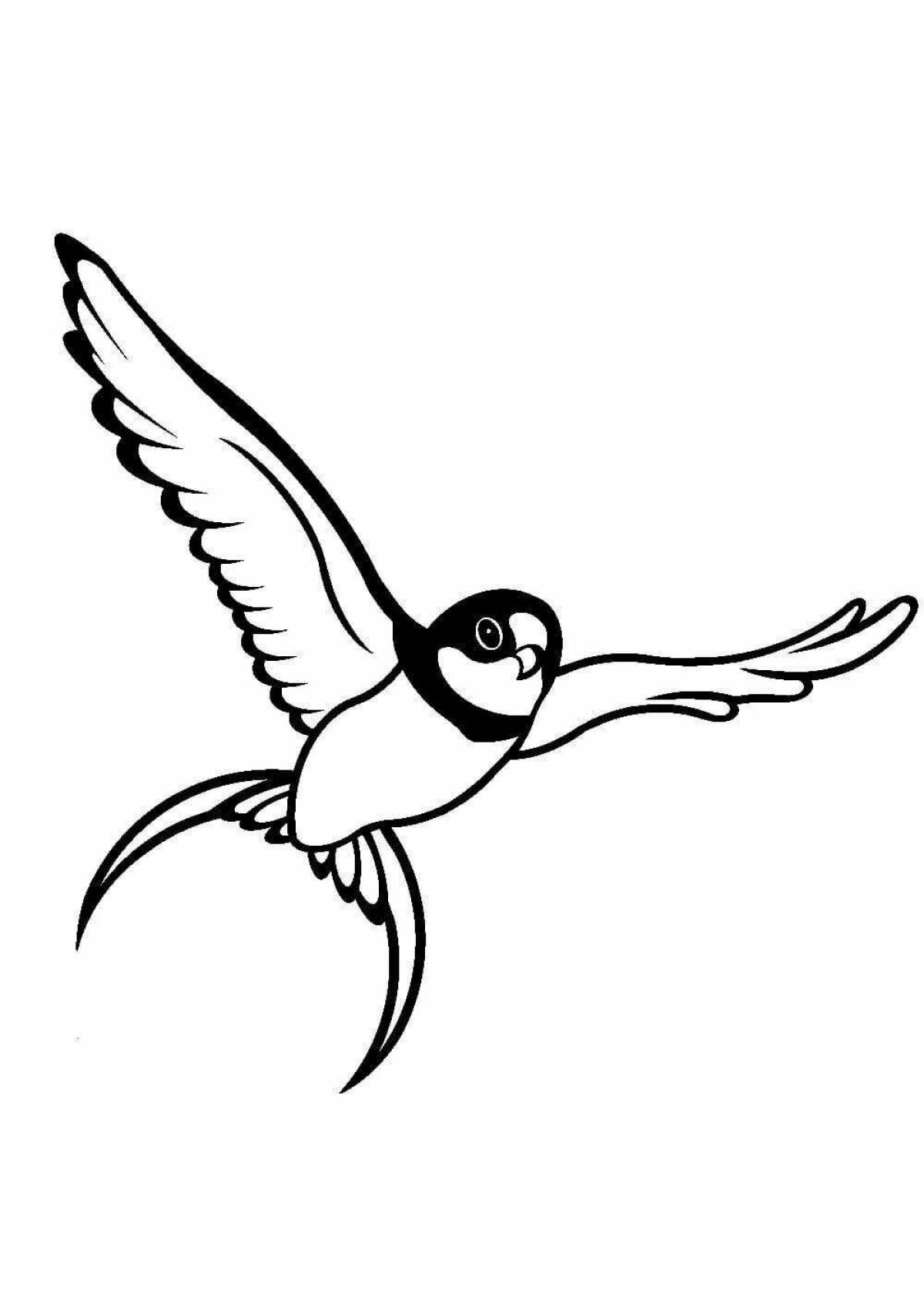 Glowing swallow with a letter