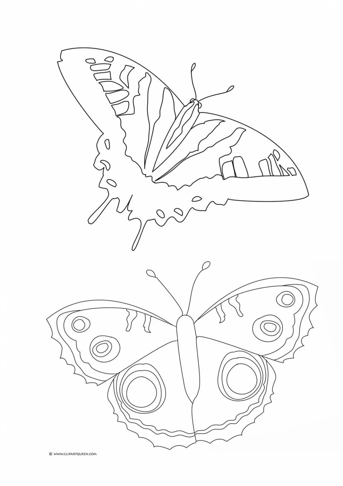 Мечтательная раскраска бабочки от лунтика