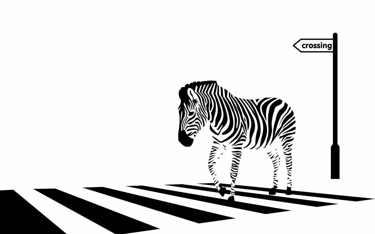 Adorable zebra crossing coloring page