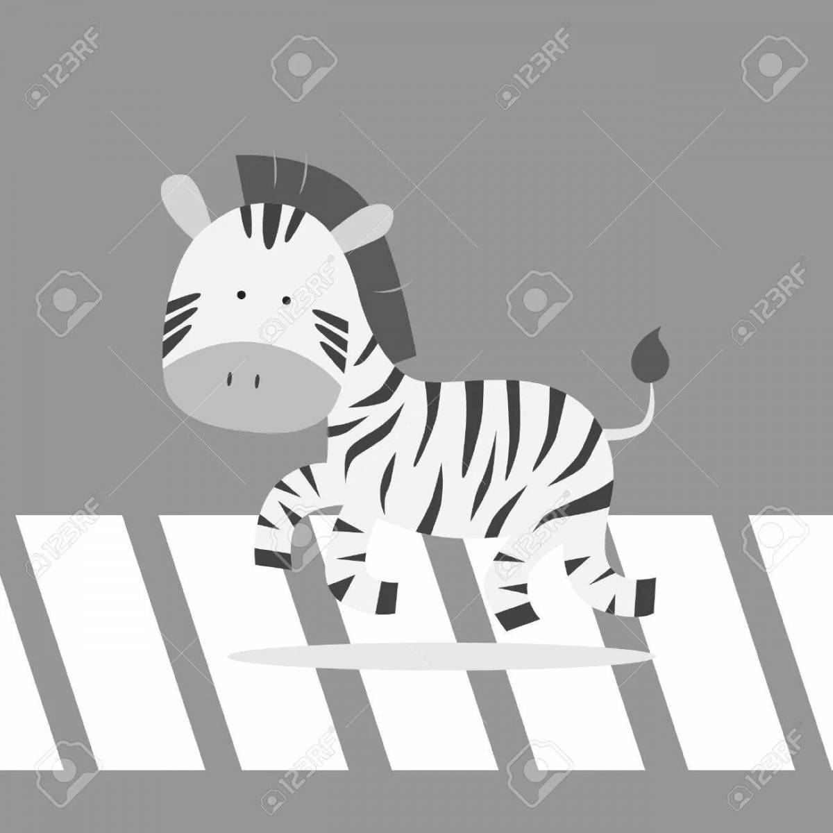 Zebra bold transition coloring page