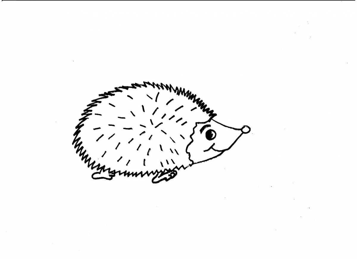 Cute coloring hedgehog without thorns