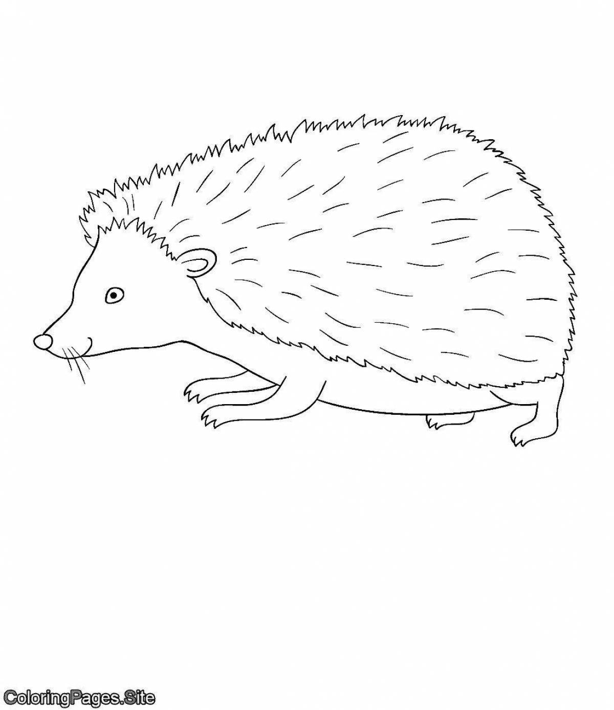 Humorous coloring hedgehog without thorns