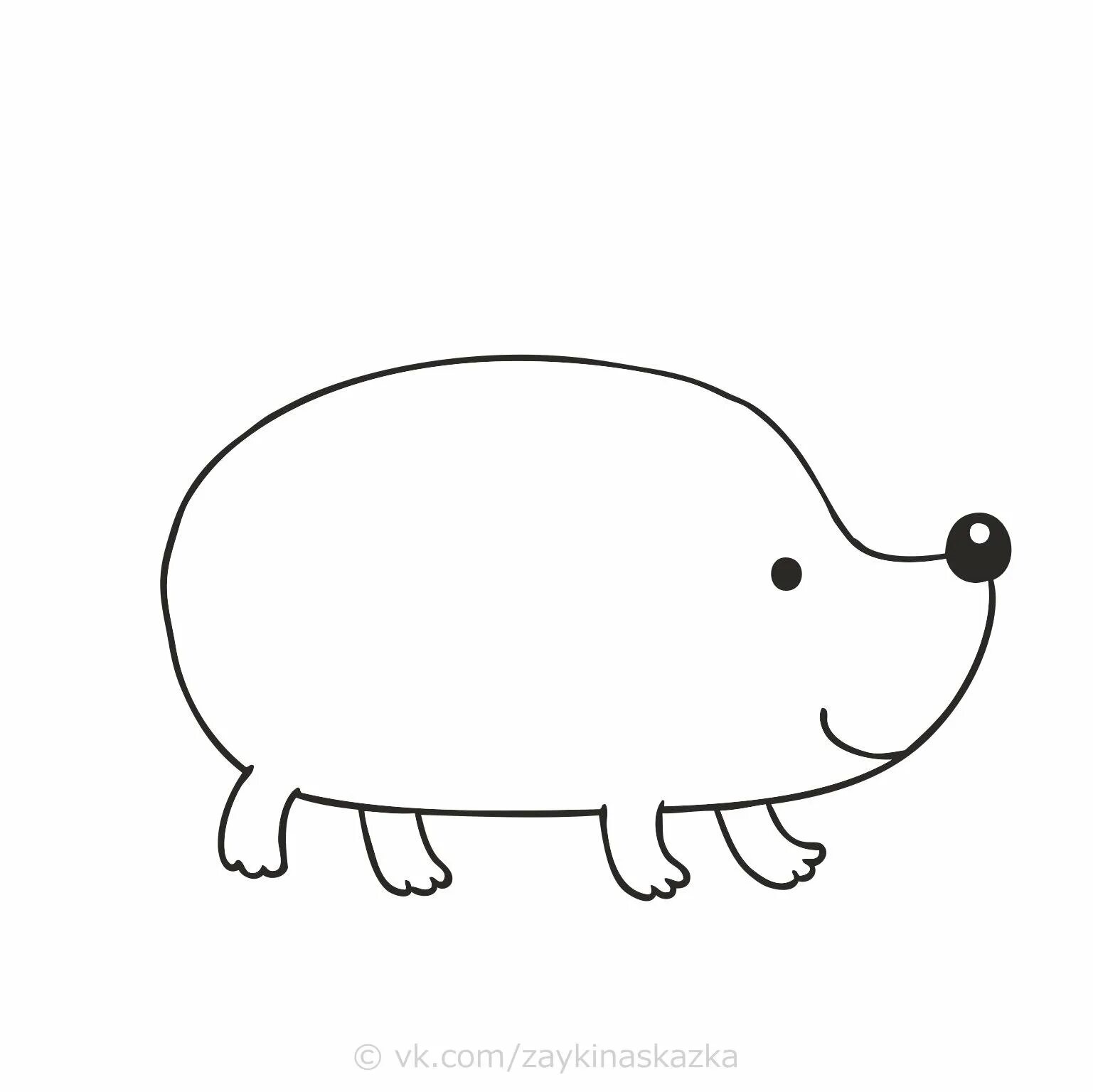 Hedgehog without spines #5