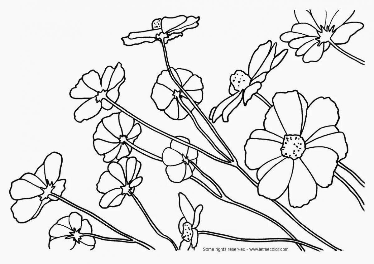 Radiant coloring page flower photo