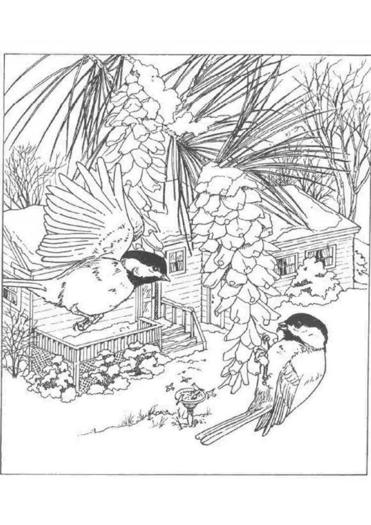 Photo Exotic bullfinch with feeder