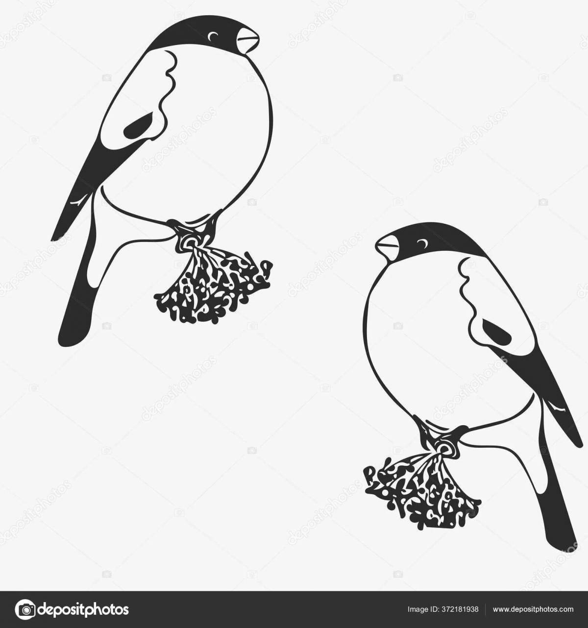 Photo Bullfinch with feeder #1